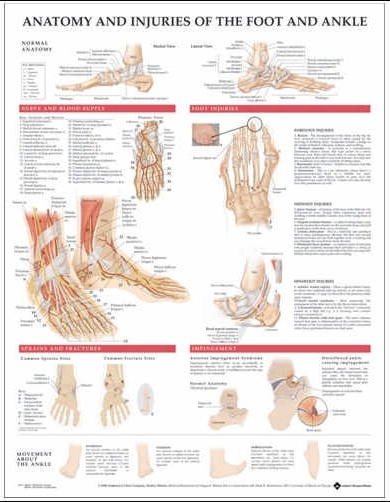 a boka és a láb sérülései artrózis sokkhullámú kezelés