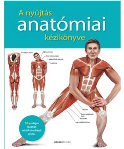 A nyújtás anatómiai kézikönyve