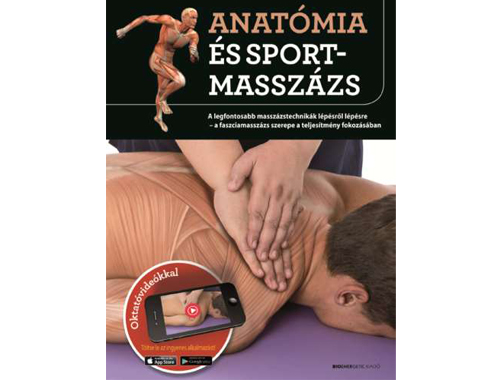 Anatómia és sportmasszázs